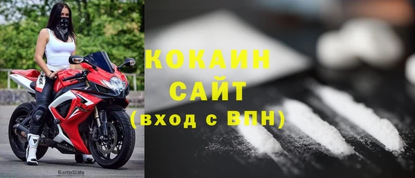 шишки Рославль