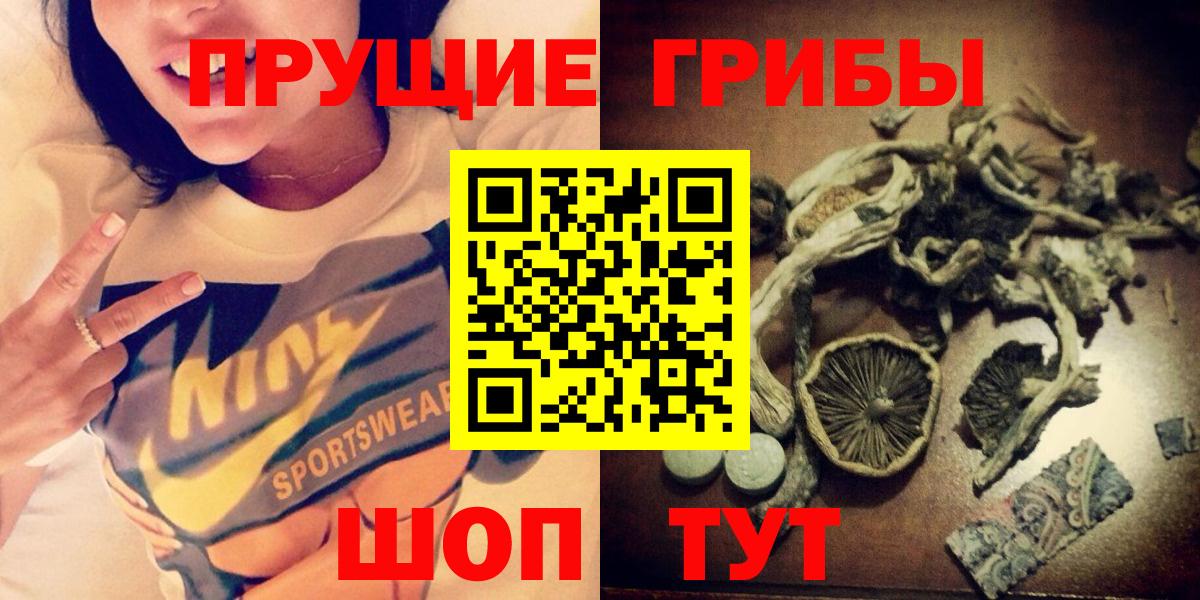 Дмитров  Псилоцибиновые грибы Cubensis  Вход с VPN  Галлюциногенные грибы мицелий 
