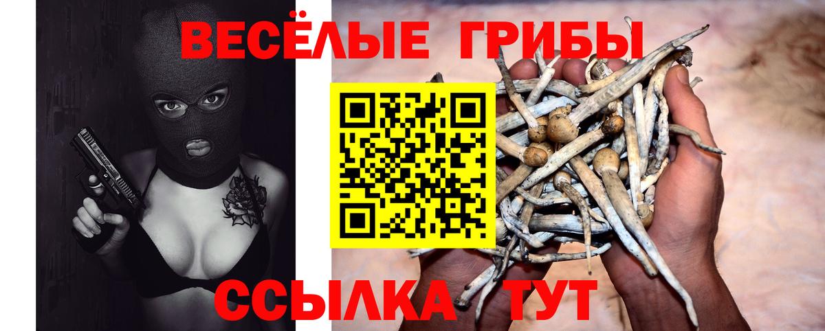 Псилоцибиновые грибы Psilocybine cubensis Дмитров
